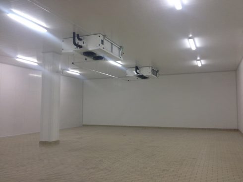 Avinatur: Reforma, ampliación y modernización de matadero de aves en Purullena (Granada)