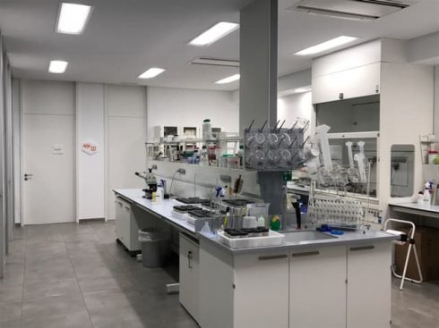 Citrosol: Proyecto de nuevos edificios de laboratorios y almacenamiento industrial. Reforma integral de las oficinas